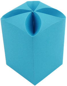 Kastīte (14.5x7.5x7.5 cm) 577037